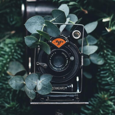 Digital camera hidden in a shrub